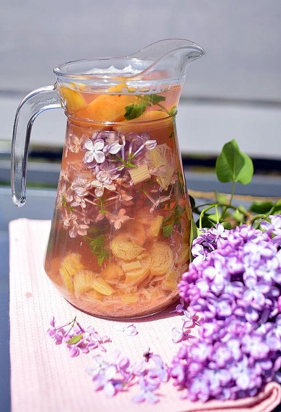 Kompot rabarbarowy z jabłkiem