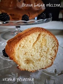 Prosta babka mleczna