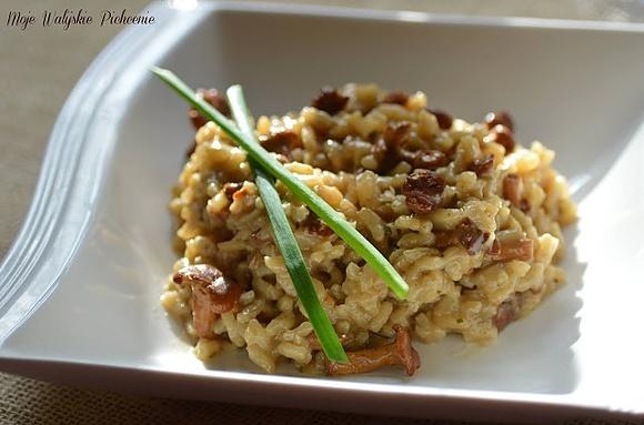 Kremowe risotto z kurkami