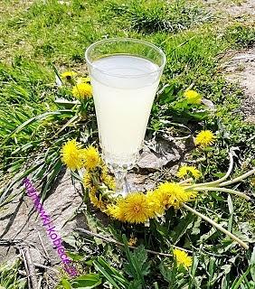 Wino z kwiatów mniszka lekarskiego