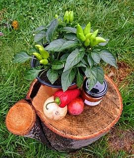 Chutney z owoców dla dorosłych