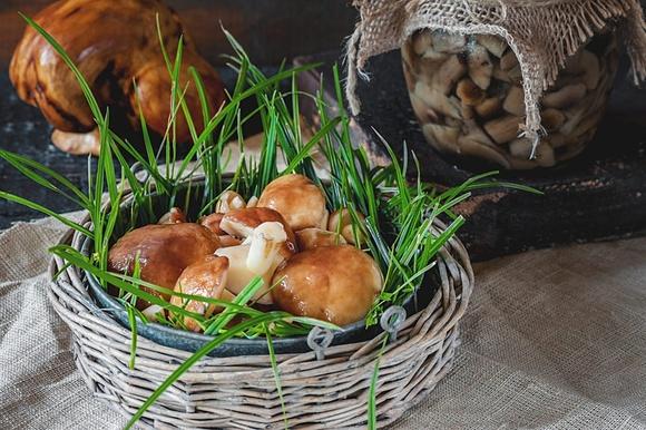 Sezon na grzyby – od zbioru do marynaty