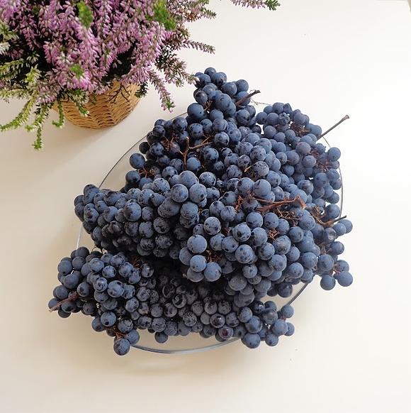 Focaccia z winogronami Schiacciata con l’uva