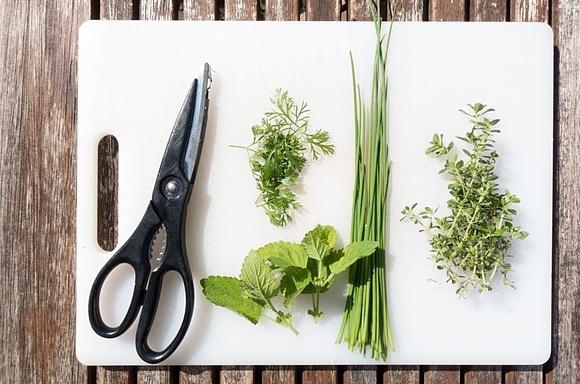 Kruche ciasteczka z ziołami pesto i ziarenkami pieprzu