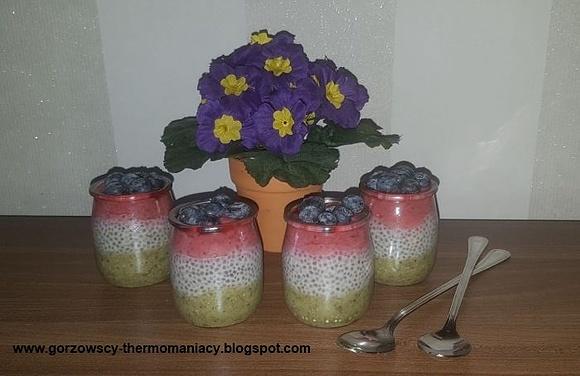 Pudding z chia z kiwi i malinami bez cukru