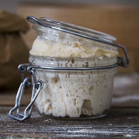 Pasta madre włoski zakwas pszenny