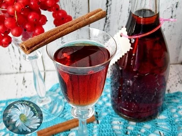 Nalewka porzeczkowa z cynamonem i goździkami