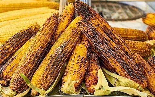 Wege grill – z czym to się je