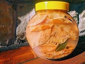 Jak kisić grzyby krok po kroku
