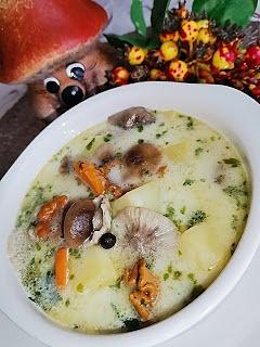 Zupa z leśnych grzybów