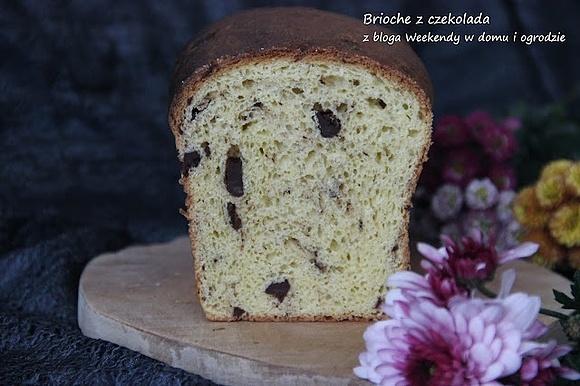Brioche z kawałkami czekolady