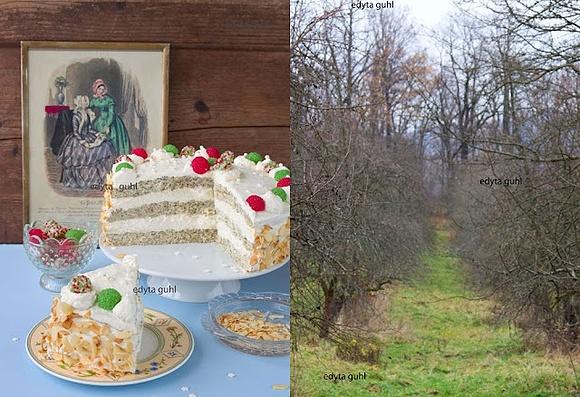 Niemiecki tort makowy