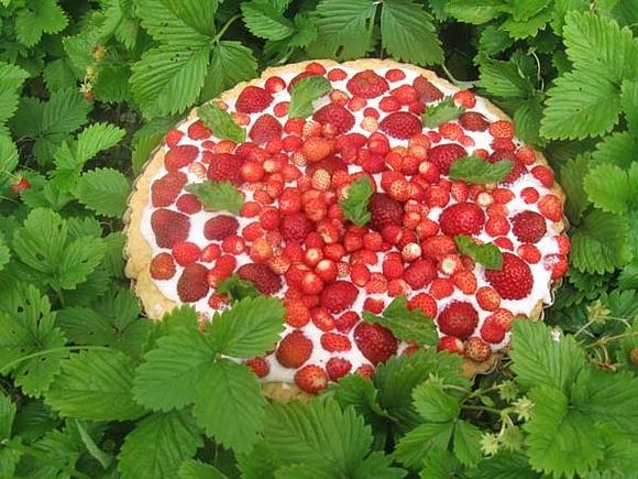 Tarta z masą serową i poziomkami