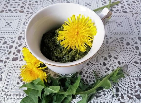 Pesto z mniszka lekarskiego wiosenny przysmak