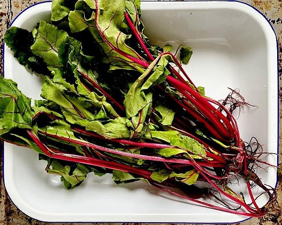 Tarta z botwiną na kremie twarogowym z anchois