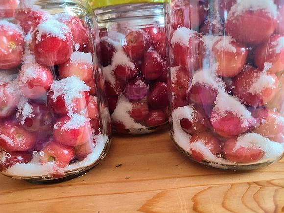 Domowy kompot z czereśni