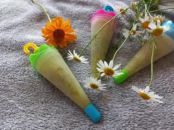 Domowy sorbet limonka z kiwi