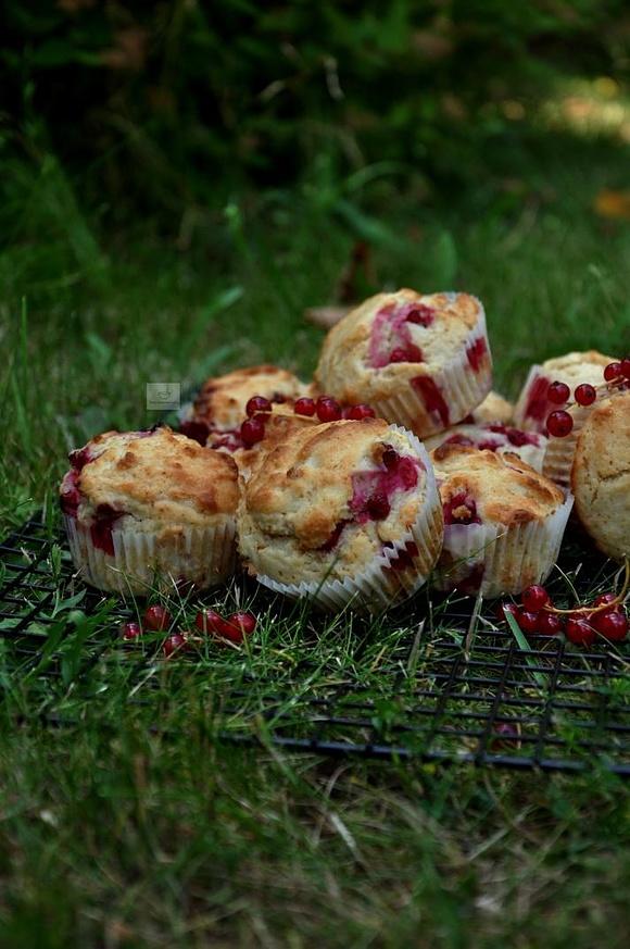 Muffiny z porzeczkami