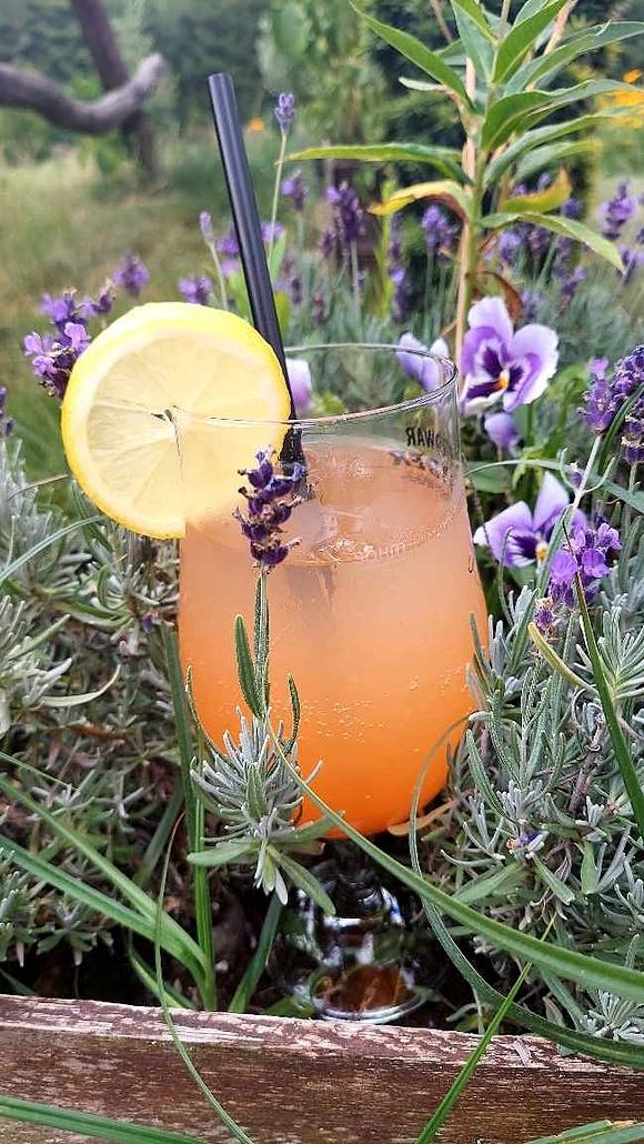 Letni drink z prosecco i sokiem grapefruitowym