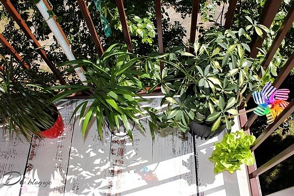 Dywan winylowy na balkon - estetyka i funkcjonalność na lata