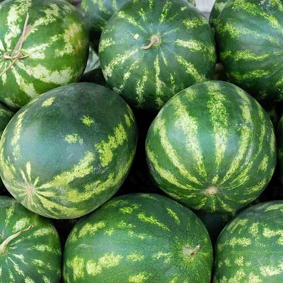 Jak wybrać dojrzałego i świeżego arbuza