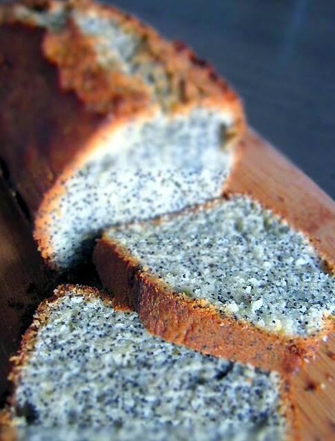 Mrówkowiec babka makowa