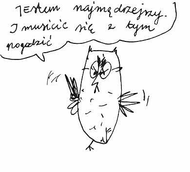 Czekoladki pomarańczowe