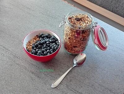 Granola z daktylami słonecznikiem i żurawiną