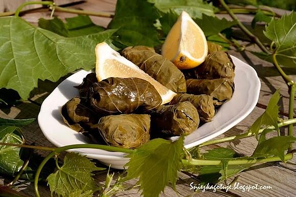 Dolmades - gołąbki z liści winorośli w stylu greckim i bałkańskim