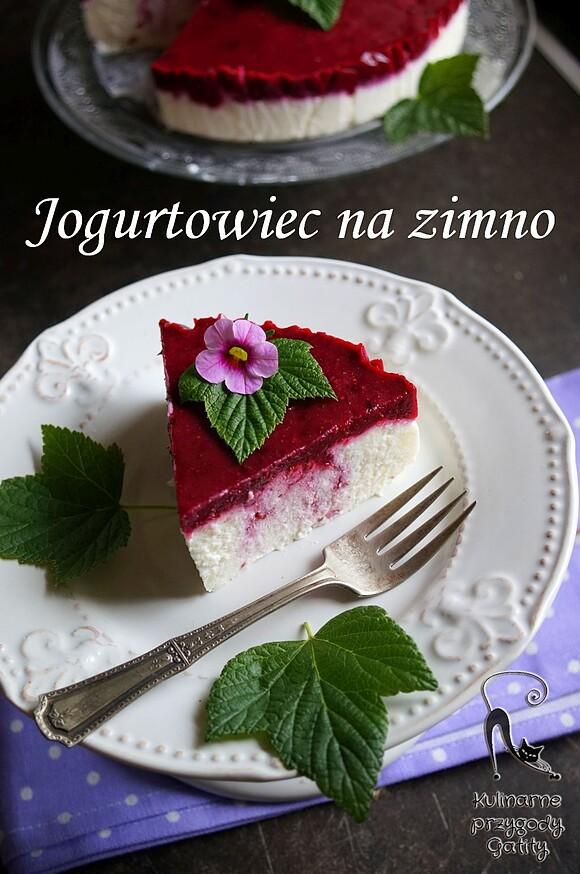 Dietetyczny jogurtowiec na zimno z czarną porzeczką