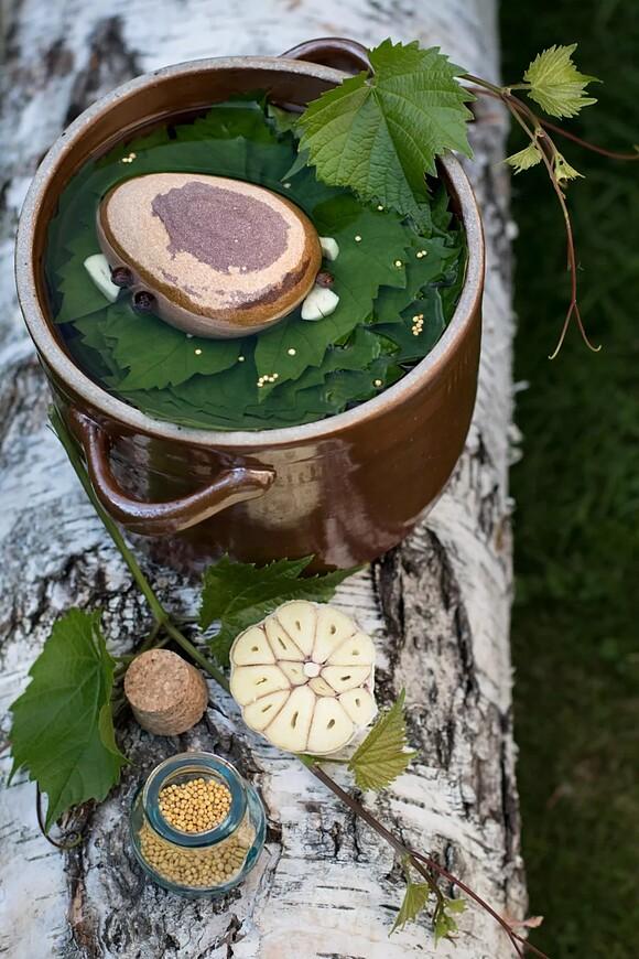 Kiszone liście winogron do dolmades