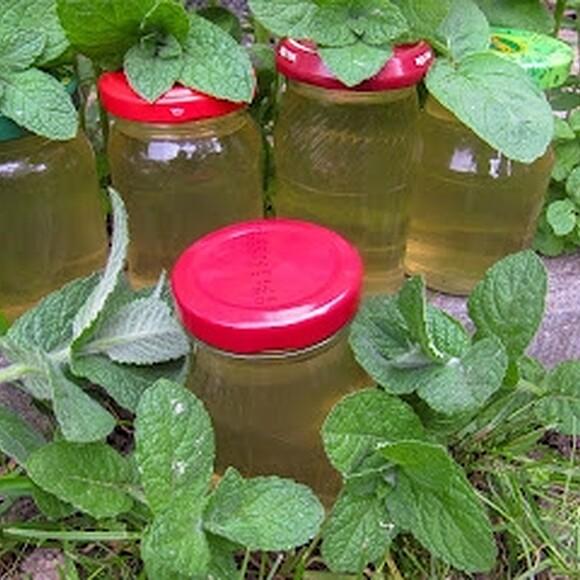 Syrop miętowy z cytryną