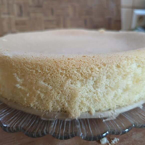 Keto biszkopt bambusowy ii