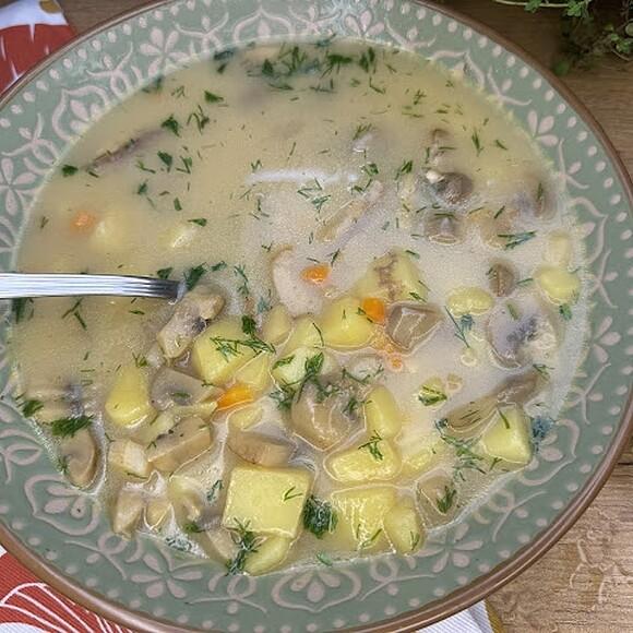 Zupa pieczarkowa na rosole