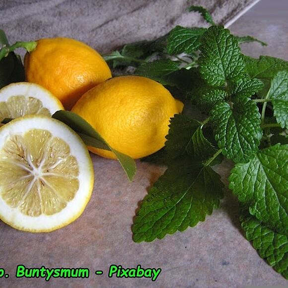Nalewka na migrenę